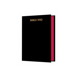 Igbo Bibles